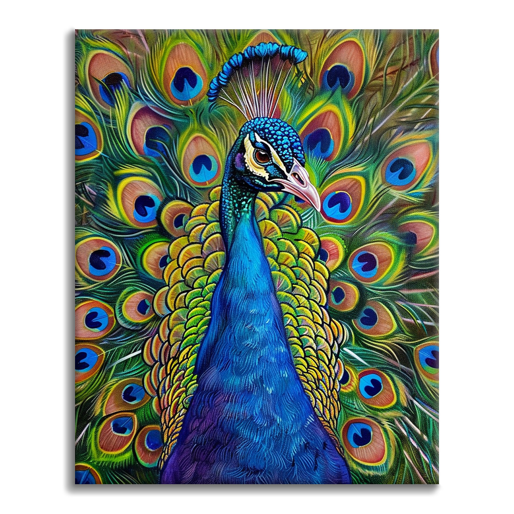 Paon – Peinture par numéros