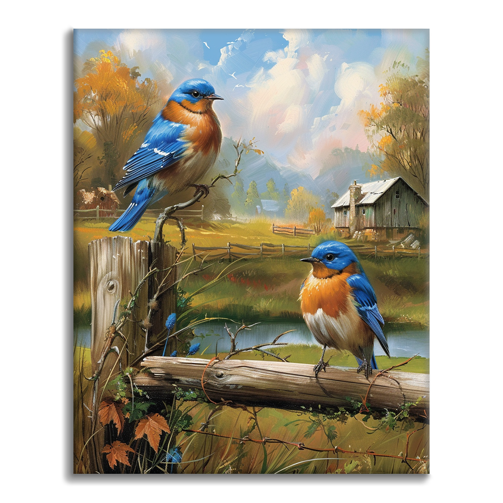Rouge-gorge – Peinture par numéros