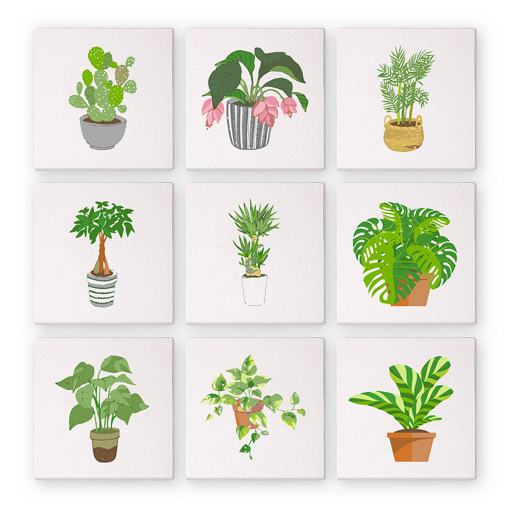 Plantes vertes – Peinture par numéros