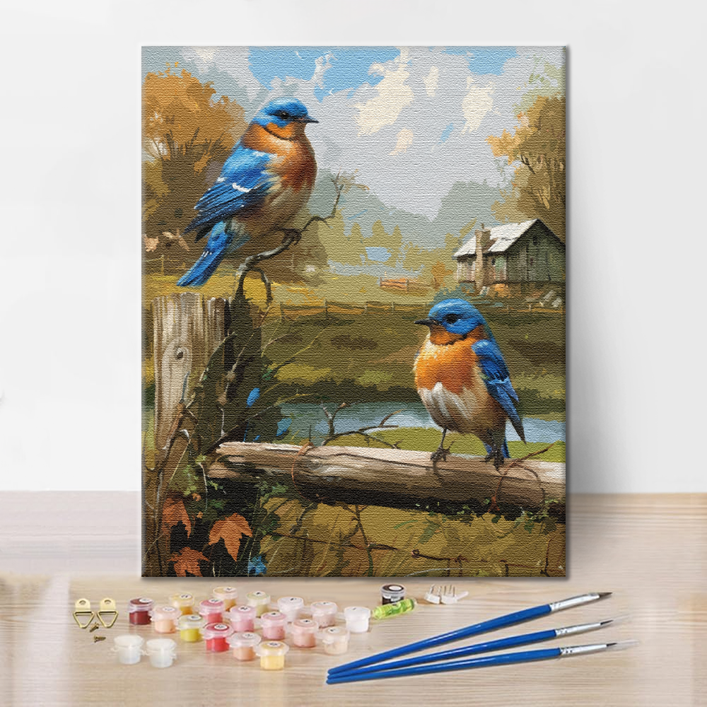 Rouge-gorge – Peinture par numéros
