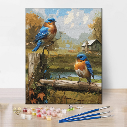 Rouge-gorge – Peinture par numéros