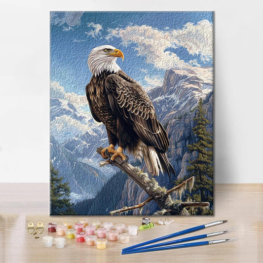 Pygargue à tête blanche – Peinture par numéros
