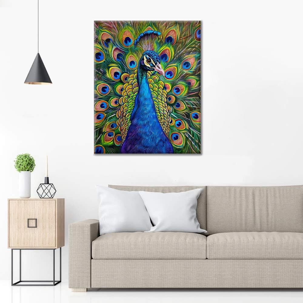 Paon – Peinture par numéros