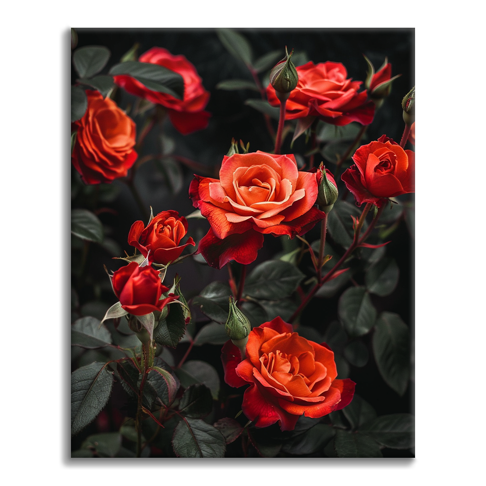 Crimson Elegance – Peinture par numéros