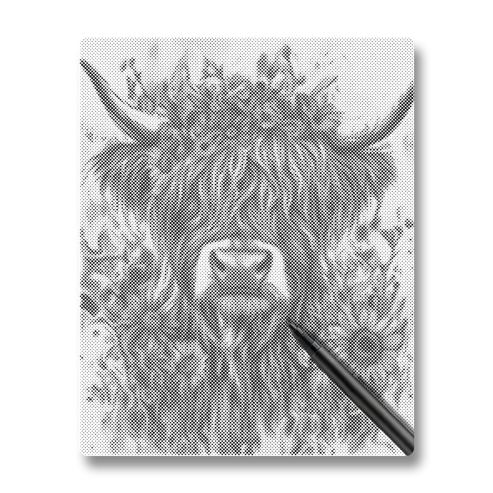 Bovins des Highlands - Peinture à Points