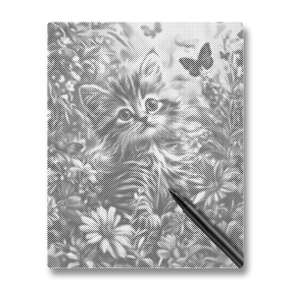 Chaton de jardin - Peinture à Points