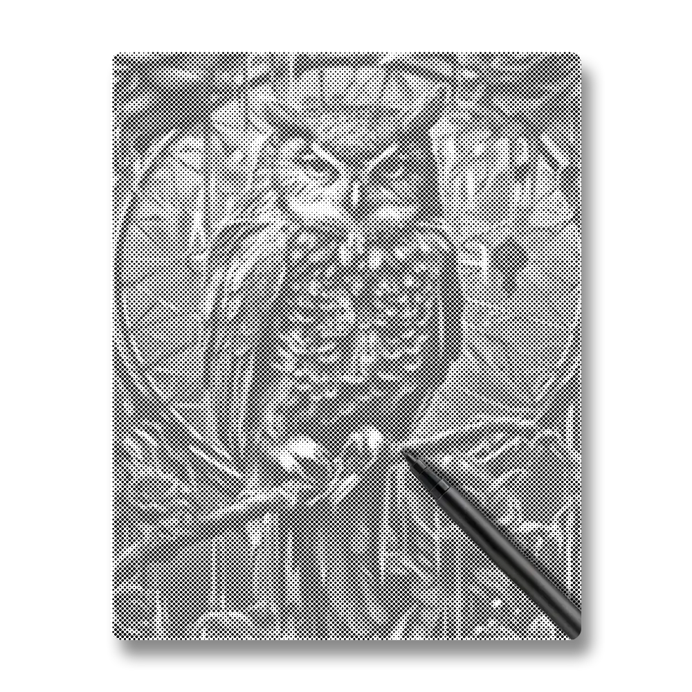 Un hibou - Peinture à Points