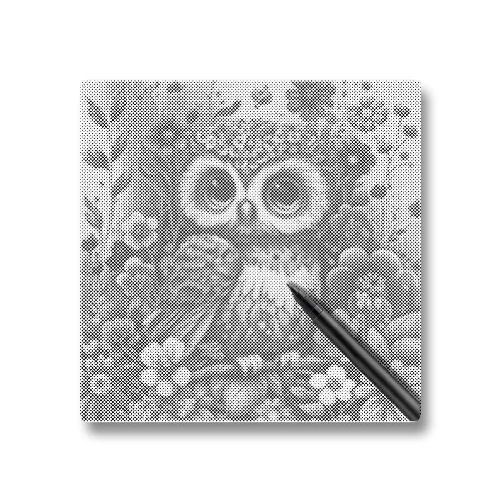 Bébé hibou tout doux et mignon - Peinture à Points