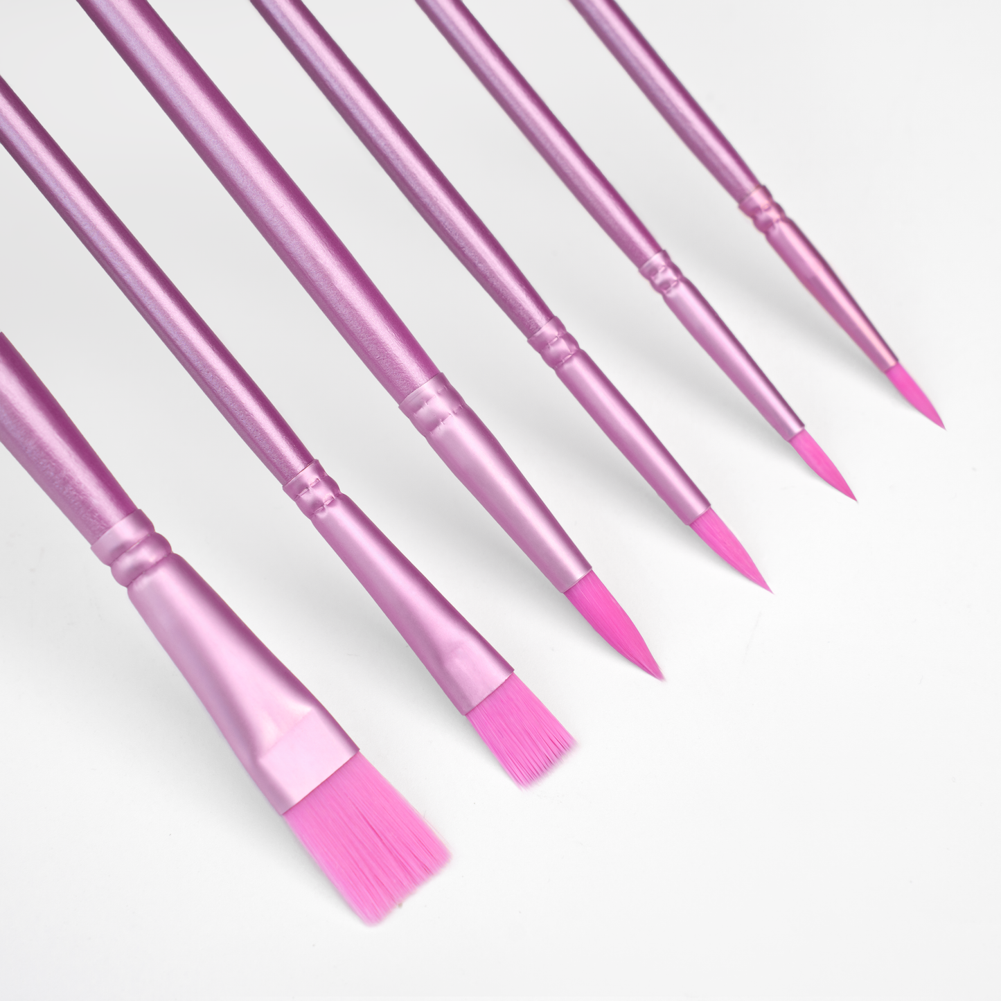 Ensemble de brosses en nylon (6 pièces)