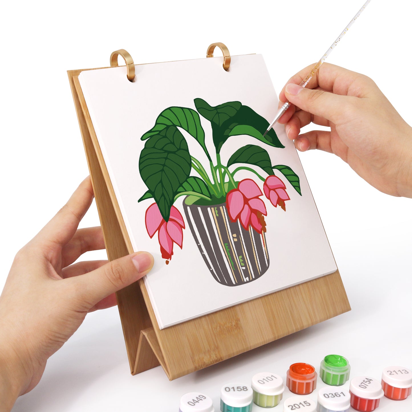 Édition Plantes – Calendrier de Bureau 2027 à Peindre par Numéros