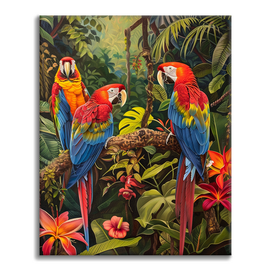 Ara – Peinture par numéros