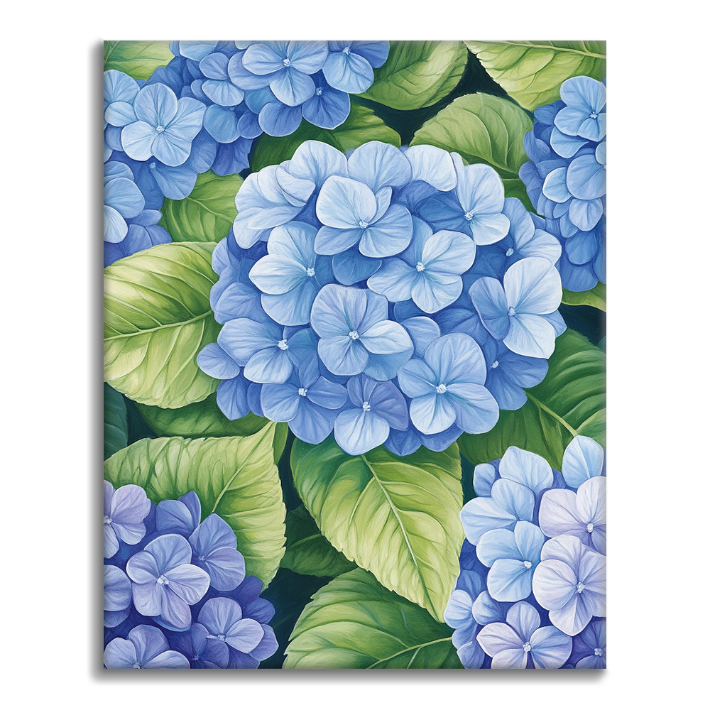 Hortensias En Groupes - Peinture par Numéros