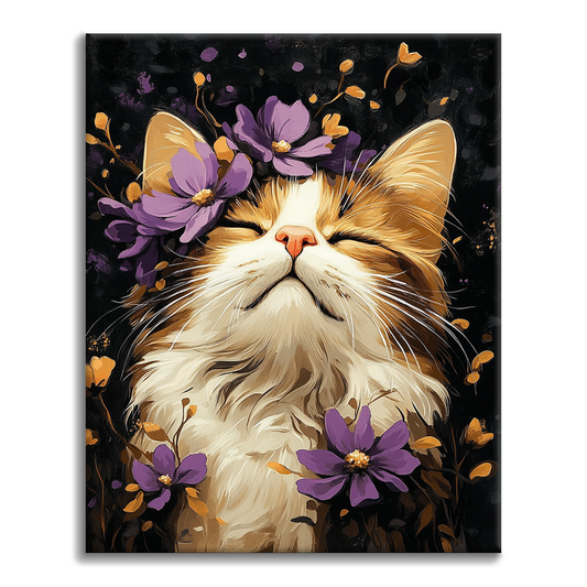 Chat Ragdoll - Peinture par Numéros