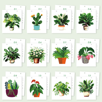 Édition Plantes – Calendrier de Bureau 2027 à Peindre par Numéros