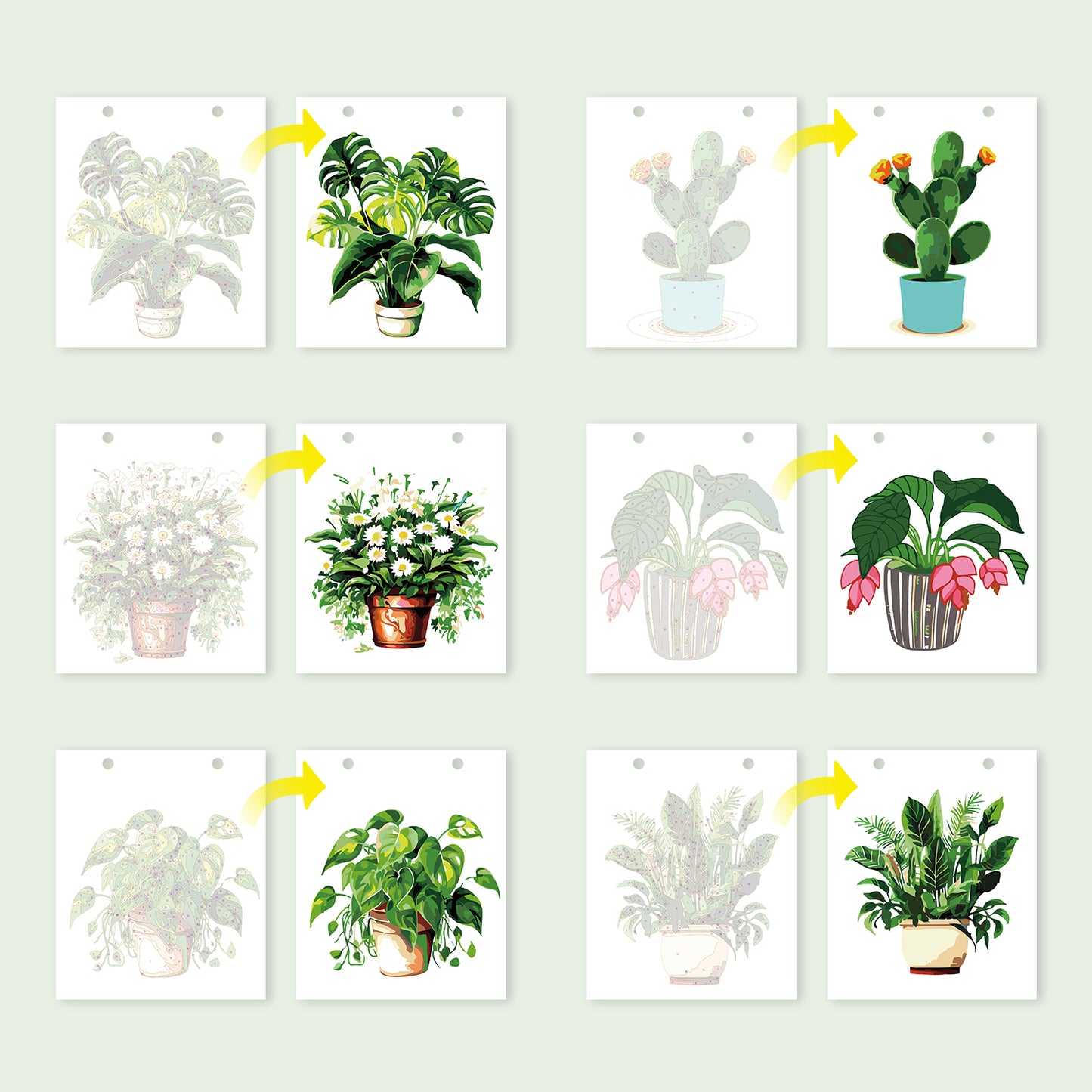 Édition Plantes – Calendrier de Bureau 2027 à Peindre par Numéros