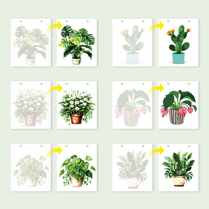 Édition Plantes – Calendrier de Bureau 2027 à Peindre par Numéros