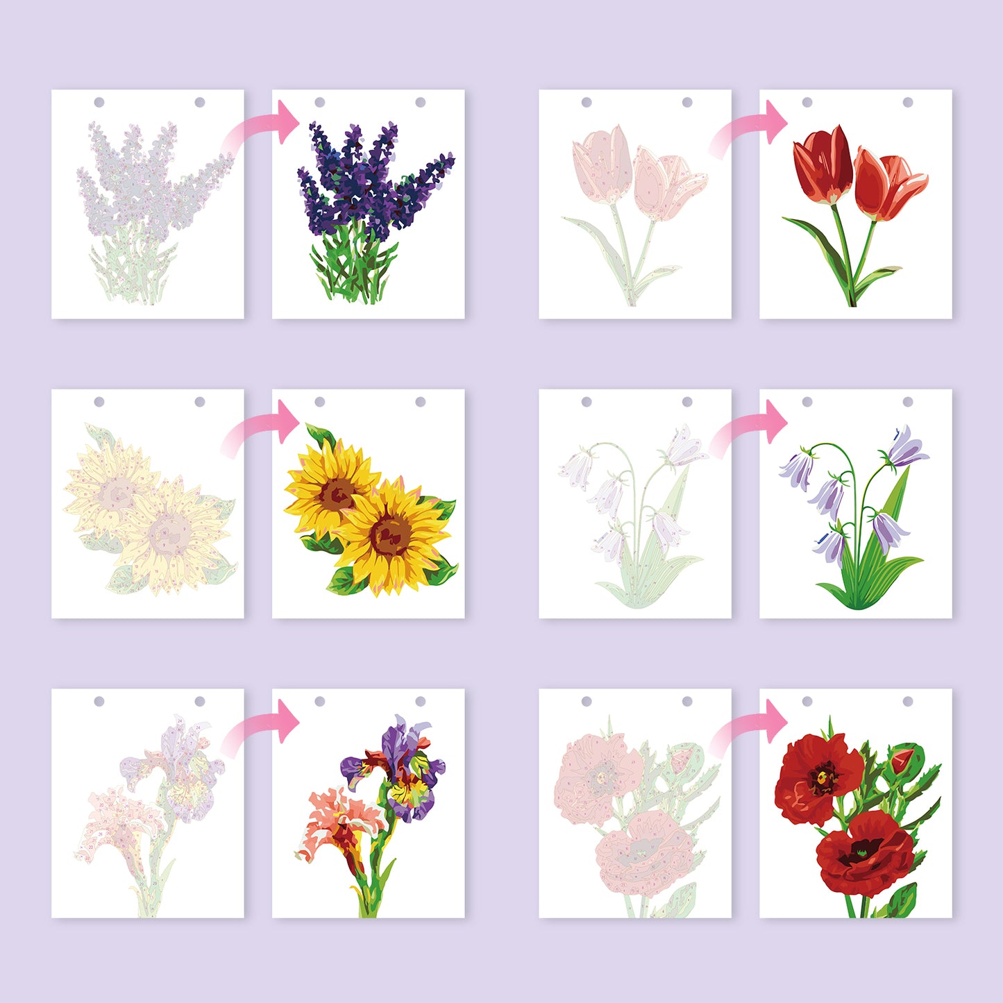Édition Fleurs – Calendrier de Bureau 2027 à Peindre par Numéros