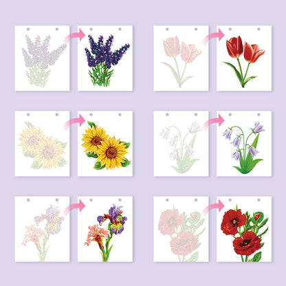 Édition Fleurs – Calendrier de Bureau 2027 à Peindre par Numéros