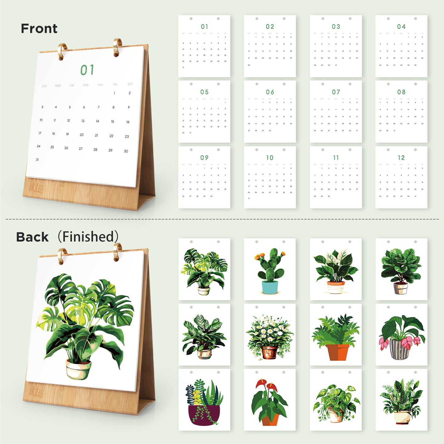 Édition Plantes – Calendrier de Bureau 2027 à Peindre par Numéros