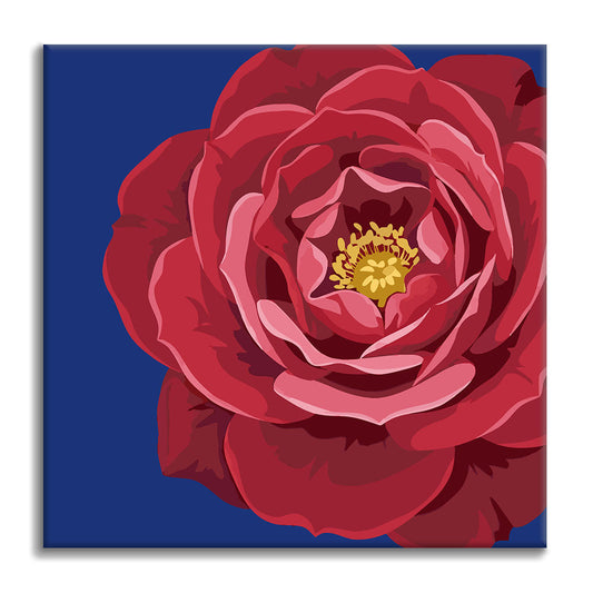 Rouge royal et azur - Mini peinture par numéros
