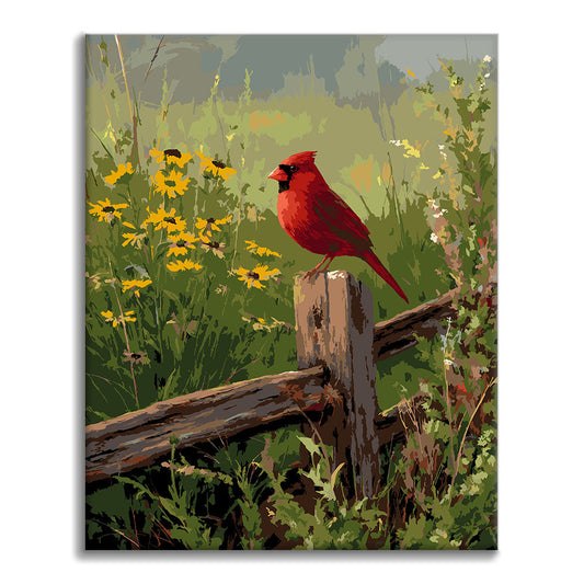 Cardinal de campagne - Peinture par numéros