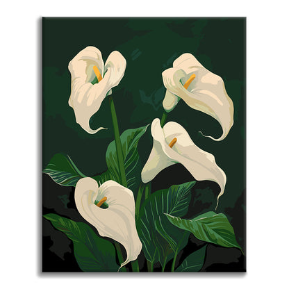 Lys calla blancs en fleurs - Peinture par numéros