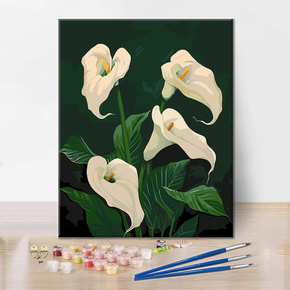 Lys calla blancs en fleurs - Peinture par numéros