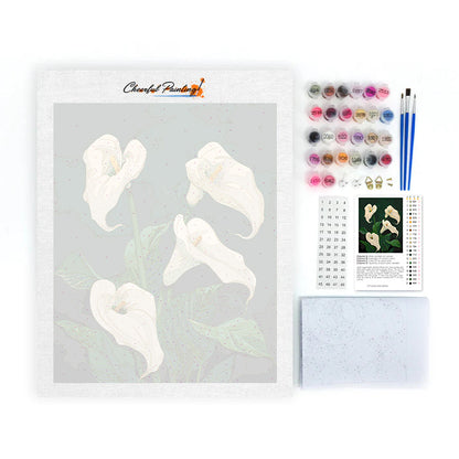 Lys calla blancs en fleurs - Peinture par numéros