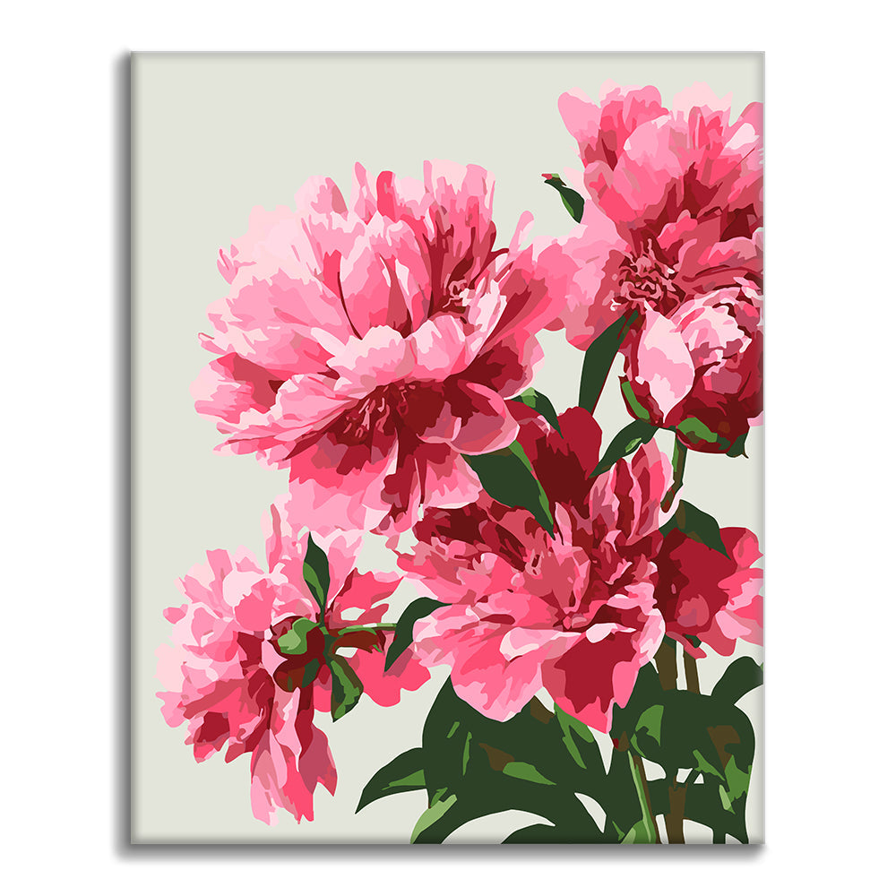 Pivoines exquises – Peinture par numéros