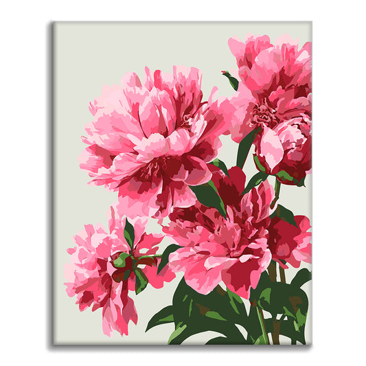 Pivoines exquises – Peinture par numéros
