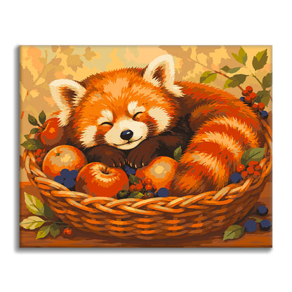 Panda roux endormi – Peinture par numéros
