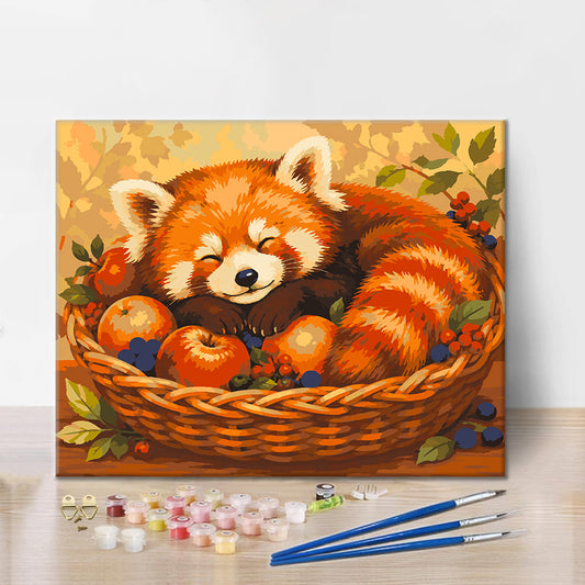 Panda roux endormi – Peinture par numéros