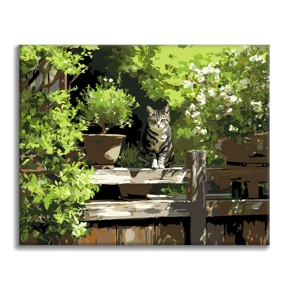 Chaton ensoleillé au jardin – Peinture par numéros