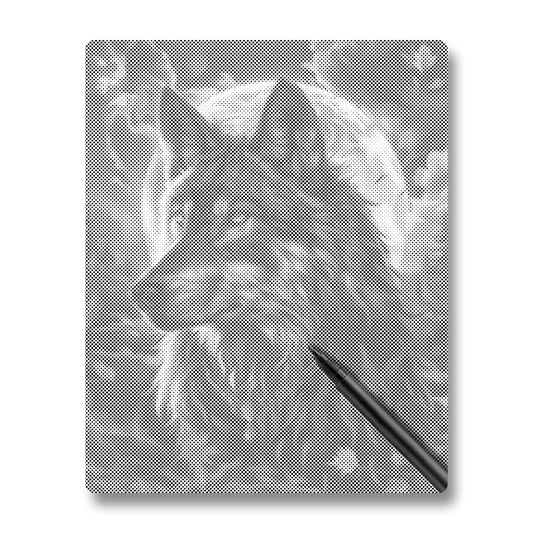 Le Roi des Loups - Peinture à Points
