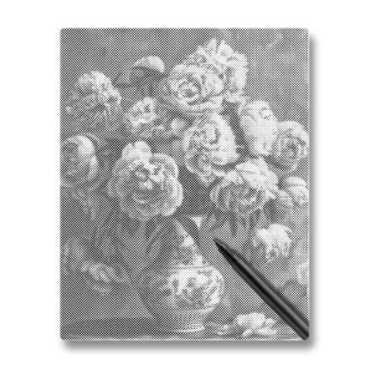 Pivoine - Peinture à Points