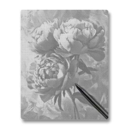 Pivoine Rose - Peinture à Points