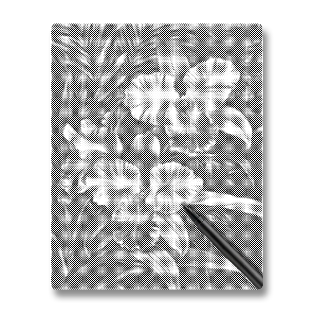 Orchidée Rose - Peinture à Points