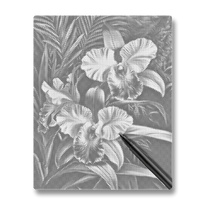 Orchidée Rose - Peinture à Points