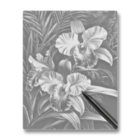 Orchidée Rose - Peinture à Points