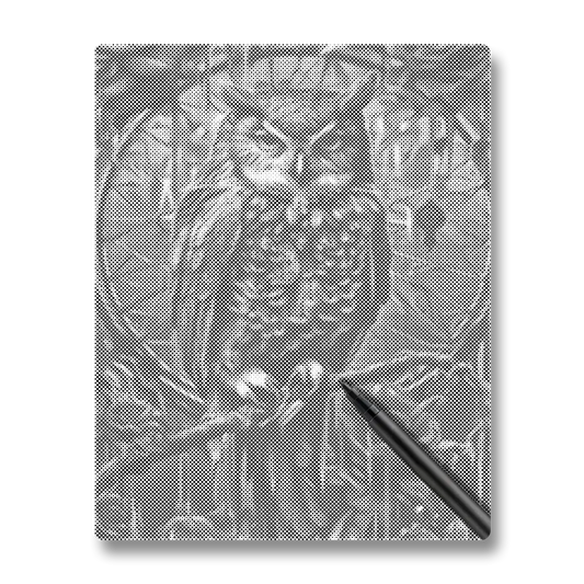 Un hibou - Peinture à Points