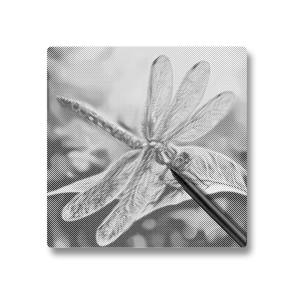 Libellule colorée - Peinture à Points