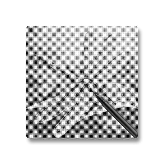 Libellule colorée - Peinture à Points