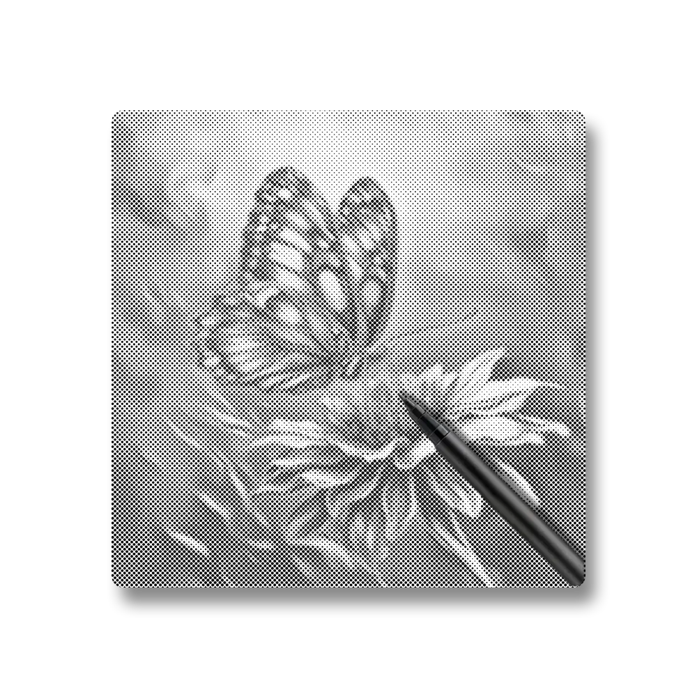 Papillon vibrant - Peinture à Points