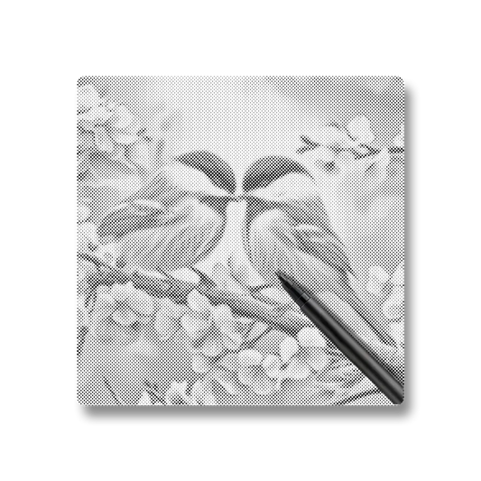 Inséparables - Peinture à Points