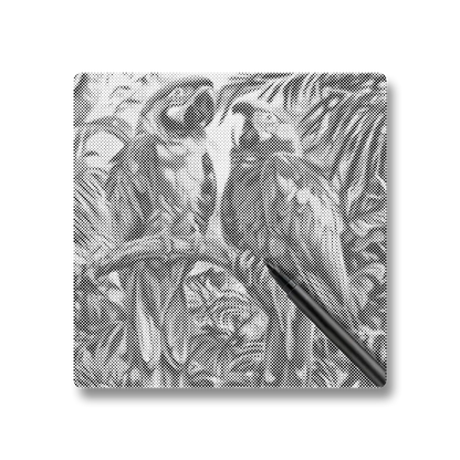 Perroquet - Peinture à Points