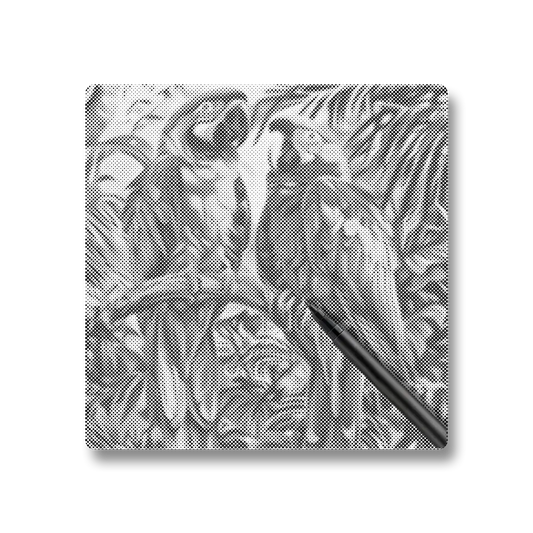 Perroquet - Peinture à Points