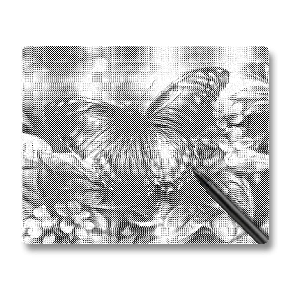 Papillon bleu - Peinture à Points