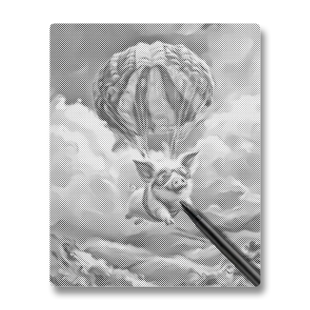 Cochon volant - Peinture à Points