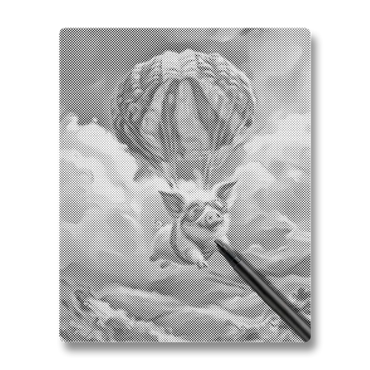 Cochon volant - Peinture à Points