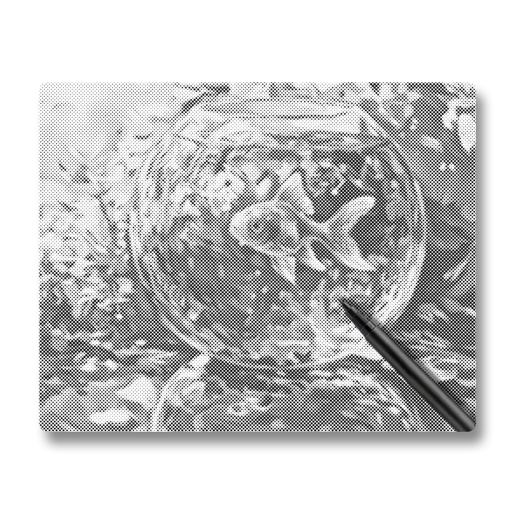 Poisson rouge - Peinture à Points